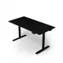 Arozzi Arena Nordico Electric Standing Desk – Dual Motor, 160x80 cm, Juoda