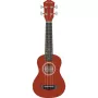 Arrow PB10 NT Soprano Natura Ukulele su dėklu