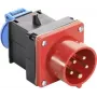 AS SCHWABE 400V 16A CEE į Schuko adapterio kabelis, 5 polių į 2 polių, 0,3 m, IP44, juodas 60495