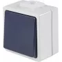 AS SCHWABE 62452 paviršinis mygtukinis jungiklis, IP54, pilkas, 250V/10A, 1NO