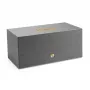 Audio Pro C20 išmanusis garsiakalbis, pilkas - 120W, Wi-Fi, AirPlay 2, Chromecast, Bluetooth 5.0