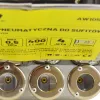AWTOOLS AW10502 Pneumatinis tinkuotojas luboms - 5L talpa, 3 antgaliai, 6-9 bar