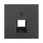 Berker 1407 16 06 Centrinė plokštelė UAE (RJ45) lizdui, 2-jų vietų, antracito (55x55 mm)