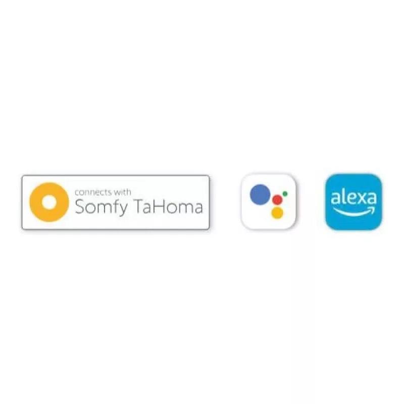 BFT B-EBA Wi-Fi EVO ryšio modulis su antena (Bluetooth/easyAXS/TaHoma)