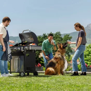 Black+Decker BXOG12950E dujinė kepsninė, 3 degikliai