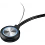 Blaupunkt FunLine Discs aktyvioji lango antena automobilio radijui AM/FM priėmimui, DIN jungtis, 2,9 m kabelis, juoda