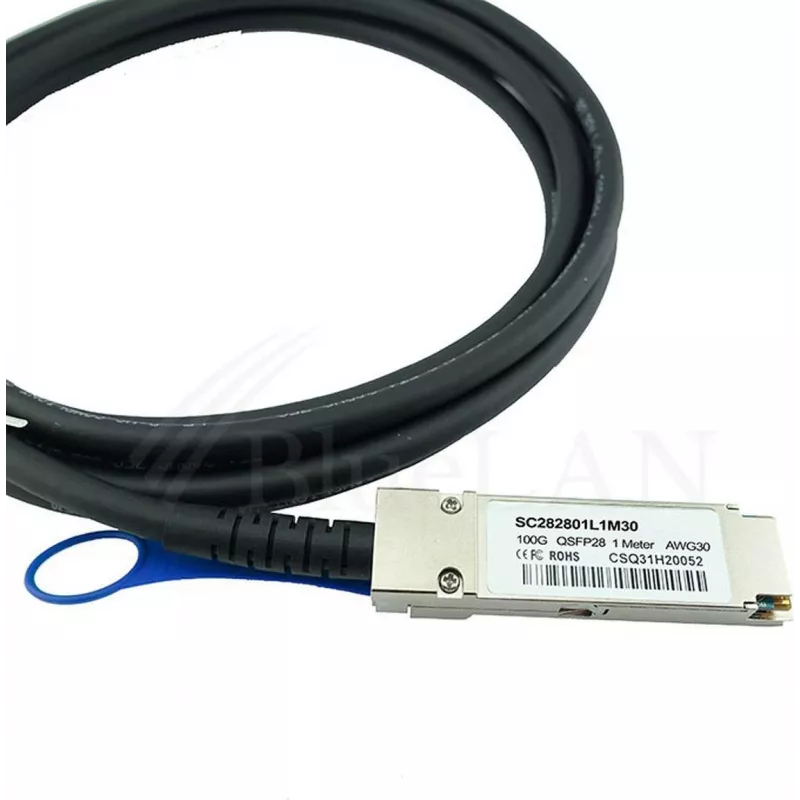 BLUELAN suderinamas HPE Aruba R0Z25A tiesioginio prijungimo kabelis, 100GBASE-CR4, InfiniBand EDR, 30AWG, 1 metras (R0Z25A-BL)