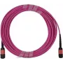 BlueOptics Infortrend 9370FC40GCAB1-0030 MPO-MPO daugiamodis OM4 jungiamasis kabelis 2 metrai