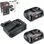 Bosch 18V pradinis rinkinys 2 x 2,5 Ah akumuliatoriai + AL 18V-44 įkroviklis (1600A031T5)
