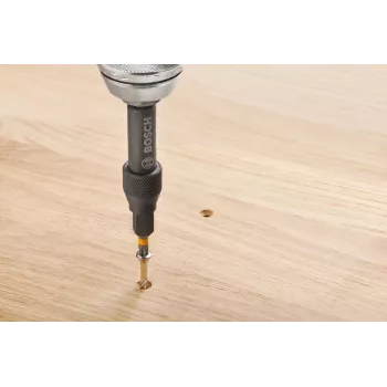 Bosch 2607002786 20 dalių atsuktuvų antgalių rinkinys su magnetiniu universaliu laikikliu, 25 mm S2 plieno antgaliai Phillips, Pozidriv, plyšiniams, Torx, Hex