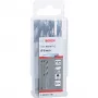 Bosch PowerTools HSS PointTeq Hex spiralinis grąžtas, 6 mm, 10 vnt., darbinis ilgis 57 mm