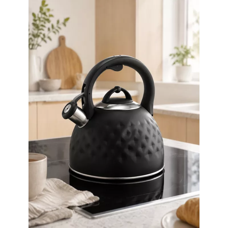 Brock MWK 002 BK La Cuisinette virdulys 2,7L juodas/plieninis