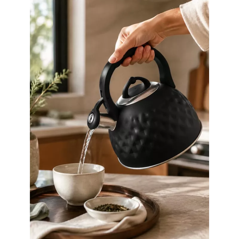 Brock MWK 002 BK La Cuisinette virdulys 2,7L juodas/plieninis