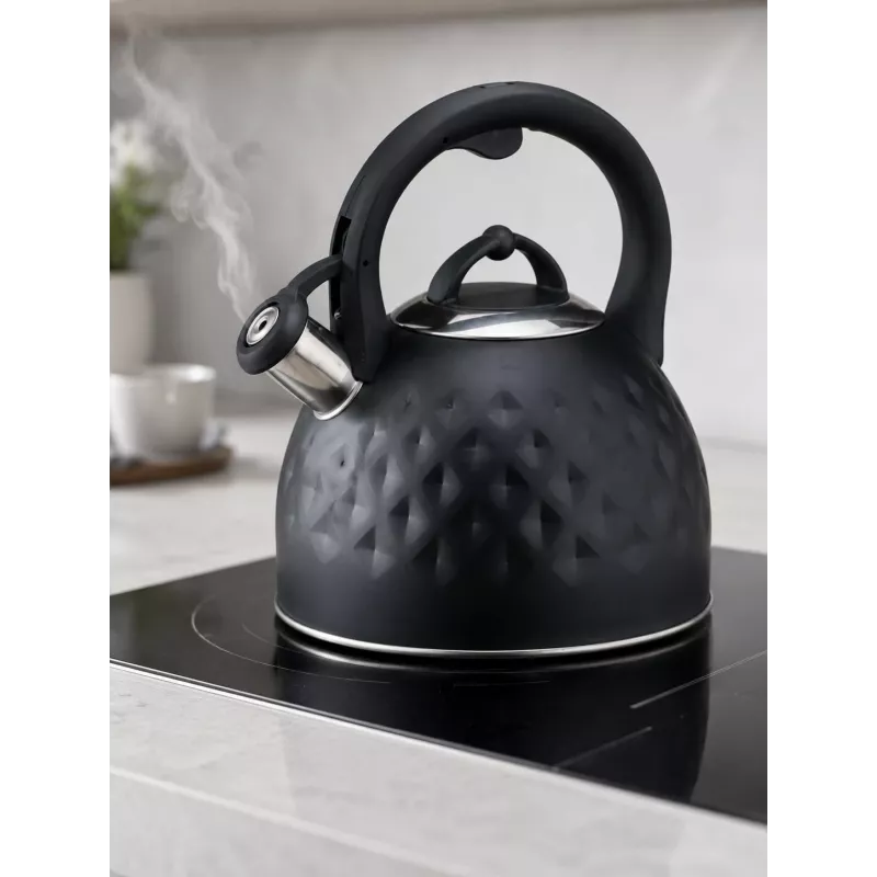 Brock MWK 002 BK La Cuisinette virdulys 2,7L juodas/plieninis