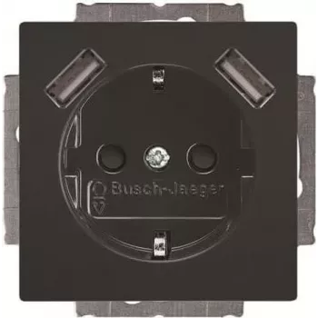 BUSCH-JAEGER BJ 20 EUCB2USB-81 SCHUKO kištukinis lizdas su 2 USB prievadais, Alpinės baltos spalvos 2CKA002011A6267