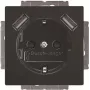 BUSCH-JAEGER BJ 20 EUCB2USB-81 SCHUKO kištukinis lizdas su 2 USB prievadais, Alpinės baltos spalvos 2CKA002011A6267