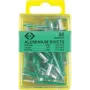 C.K Tools T3819A 508 Aklosios kniedės 4,8 x 19 mm Aliuminis/Plienas Pusapvalė galvutė (50 vnt.)