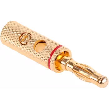CABLETECH paauksuotas bananinis garsiakalbio kištukas su varžtiniu gnybtu - 4mm