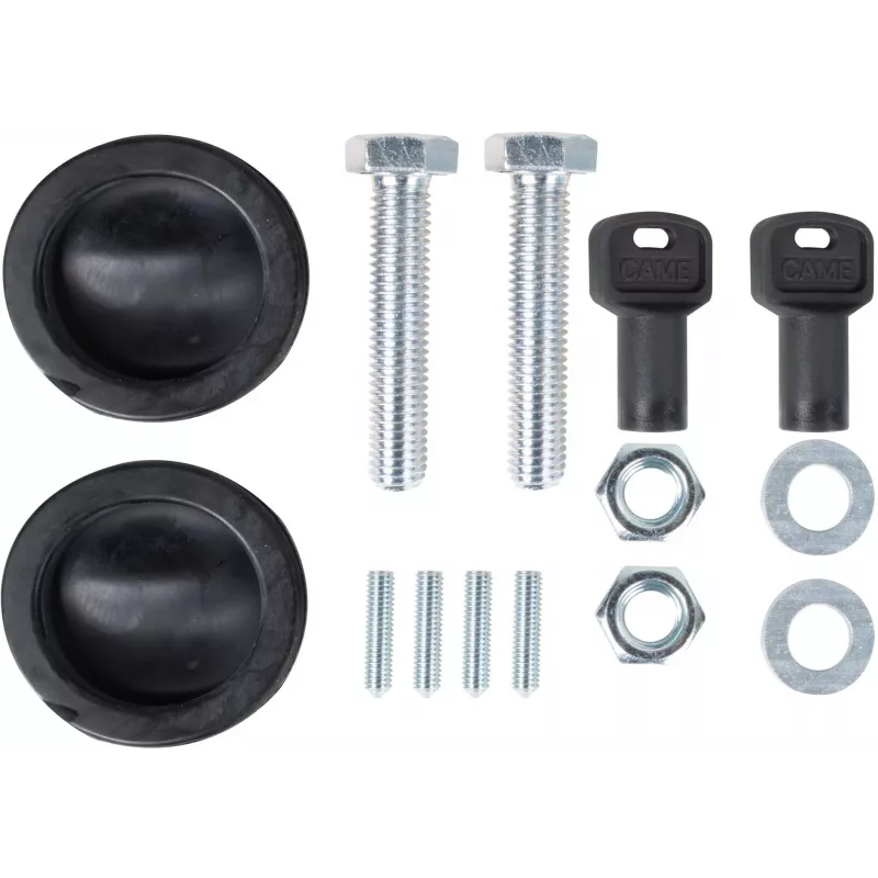 CAME BXV 10 PLUS TOP rinkinys stumdomiems vartams iki 1000 kg (8K01MS-043)