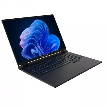 Captiva Entry Gaming I10-4472GE 18 colių nešiojamas kompiuteris - Intel Core i7-14650HX, GeForce RTX 5060 8GB, 32GB DDR5, 500GB SSD, Windows 11 Pro