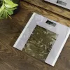 Cecotec Svarstyklės vonios kambariui Surface Precision Healthy Maksimalus svoris 180 Pilka/Skaidri