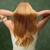 Cecotec Plaukų džiovintuvas IoniCare Dry&Keratin Olive 1200 W Joninė funkcija 1 temperatūros nustatymas Žalias