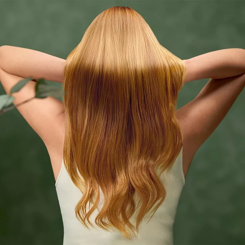 Cecotec Plaukų džiovintuvas IoniCare Dry&Keratin Olive 1200 W Joninė funkcija 1 temperatūros nustatymas Žalias