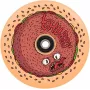 Chubby Wheel 110mm Burger Boy paspirtuko ratas - 88A uretanas, aliuminio šerdis
