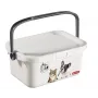 CURVER Multiboxx 3L daiktadėžė su dangteliu ir rankena, kačių ir šunų dizainas, permatoma su spauda, 26x18x11cm