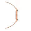 DANIEL WELLINGTON Classic Petite Moteriškas Laikrodis 36mm Rožinis Auksas Nerūdijančio Plieno Tinklelis DW00100303