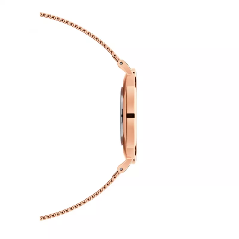 DANIEL WELLINGTON Classic Petite Moteriškas Laikrodis 36mm Rožinis Auksas Nerūdijančio Plieno Tinklelis DW00100303