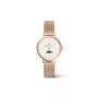 DANIEL WELLINGTON Petite Lumine 32mm sidabrinis laikrodis su perlų motinos ciferblatu ir sidabriniu tinklelio dirželiu DW00100773
