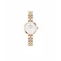 DANIEL WELLINGTON Petite Lumine Moteriškas Laikrodis 22mm Rožinio Aukso Nerūdijančio Plieno Tinklelis DW00100717