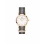 DANIEL WELLINGTON Petite Lumine Moteriškas Laikrodis 28mm Auksinis Nerūdijančio Plieno Tinklelis DW00100680