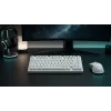 Dark Project ALU81A Terra Nova White mechaninė klaviatūra, G3MS Moonstone jungikliai, US ANSI