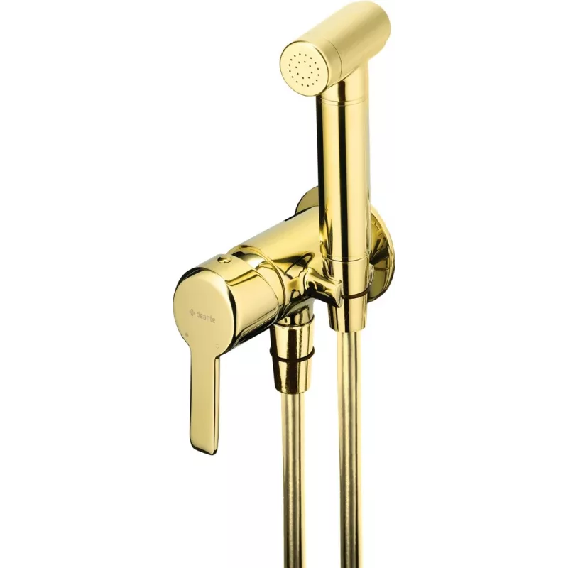 DEANTE Paslėptas bidė maišytuvas su bidet dušo galvute