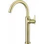 DEANTE Hiacynt High Basin Mixer Chrome Single-Lever Deck-Mounted