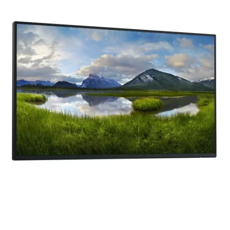 Dell Pro 24 Plus P2425HE Monitorius 23.8 inch IPS FHD 1920x1080 8ms 250cd/m2 100Hz (be stovo)