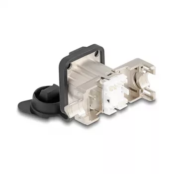 Delock D tipo RJ45 skydelio montavimo lizdas Cat.6A STP su LSA prijungimu ir IP66 apsauginiu dangteliu