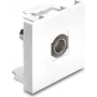 Delock Easy 45 modulis BNC lizdas į BNC lizdą, baltas (91813)