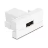Delock Easy 45 modulis EASY-USB 2.0 Type-A moteriškas į EASY-USB Type-A moteriškas baltas 90866