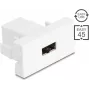 Delock Easy 45 modulis EASY-USB 2.0 Type-A moteriškas į EASY-USB Type-A moteriškas baltas 90866