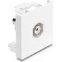 Delock Easy 45 modulis RCA lizdas į RCA lizdą baltas 91816