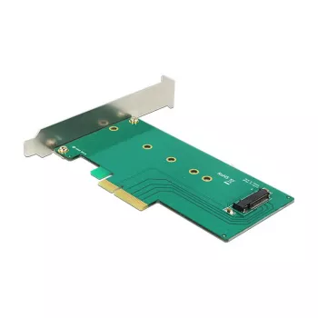 Delock PCI Express x4 plokštė į 1 x vidinį NVMe M.2 Key M 110 mm - žemo profilio formatas