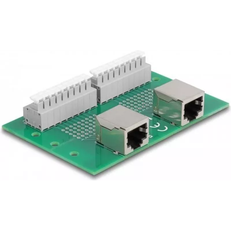 Delock RJ45 2 x moteriški į 2 x gnybtų blokas su mygtuku DIN bėgiui (66994)