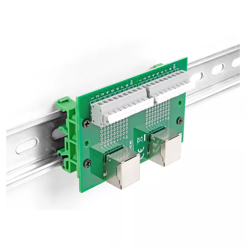 Delock RJ45 2 x moteriški į 2 x gnybtų blokas su mygtuku DIN bėgiui (66994)