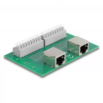 Delock RJ45 2 x moteriški į 2 x gnybtų blokas su mygtuku DIN bėgiui (66994)