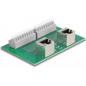 Delock RJ45 2 x moteriški į 2 x gnybtų blokas su mygtuku DIN bėgiui kampuotas (66995)