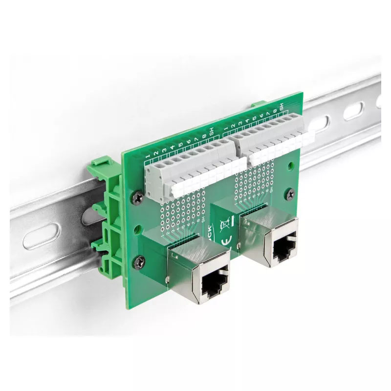 Delock RJ45 2 x moteriški į 2 x gnybtų blokas su mygtuku DIN bėgiui kampuotas (66995)