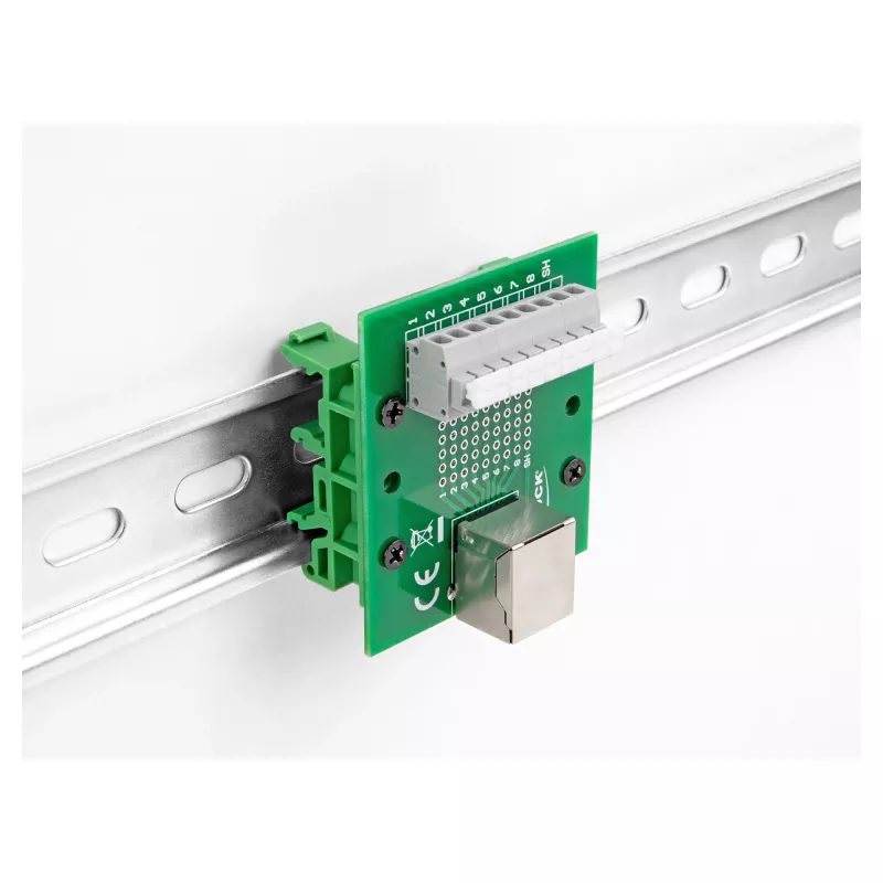 Delock RJ45 lizdas į gnybtų bloką su mygtuku DIN bėgiui 66992